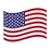 UAE Flag